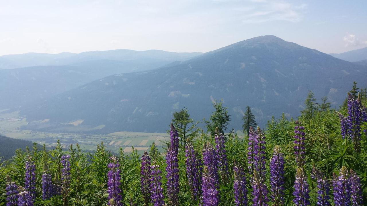 Villa Mountain View With Waterbed 상트미카엘임룽가우 외부 사진